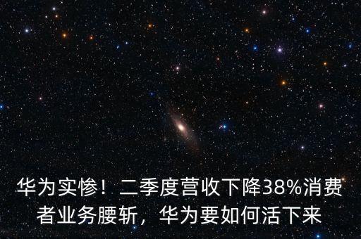華為實(shí)慘！二季度營(yíng)收下降38%消費(fèi)者業(yè)務(wù)腰斬，華為要如何活下來