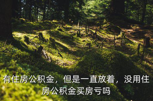 有住房公積金，但是一直放著，沒用住房公積金買房虧嗎