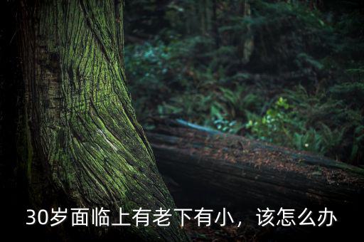 30歲面臨上有老下有小，該怎么辦