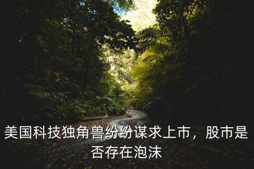 美國科技獨(dú)角獸紛紛謀求上市，股市是否存在泡沫
