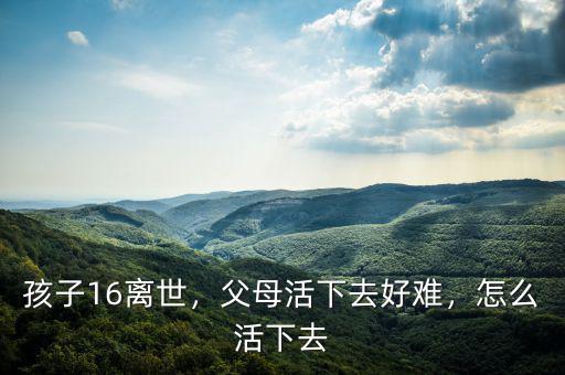 孩子16離世，父母活下去好難，怎么活下去