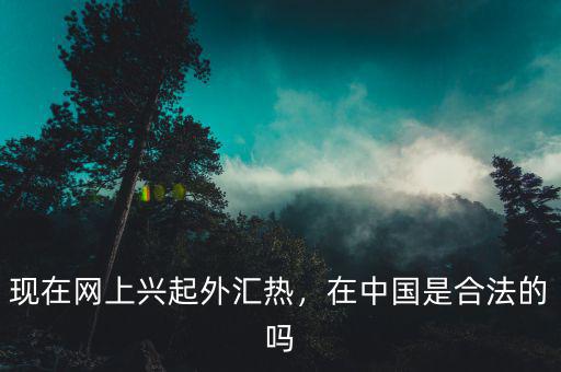 現(xiàn)在網(wǎng)上興起外匯熱，在中國是合法的嗎