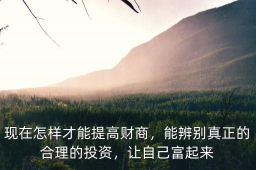 現(xiàn)在怎樣才能提高財(cái)商，能辨別真正的合理的投資，讓自己富起來