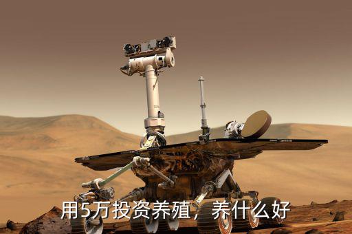 用5萬投資養(yǎng)殖，養(yǎng)什么好
