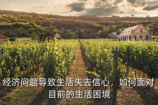 經(jīng)濟(jì)問題導(dǎo)致生活失去信心，如何面對目前的生活困境