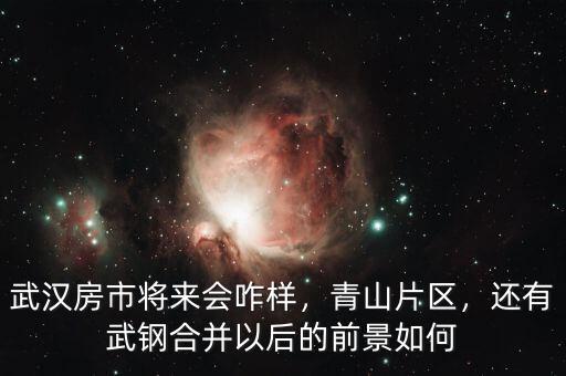 武漢房市將來(lái)會(huì)咋樣，青山片區(qū)，還有武鋼合并以后的前景如何