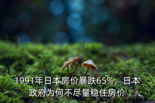 1991年日本房?jī)r(jià)暴跌65%，日本政府為何不盡量穩(wěn)住房?jī)r(jià)