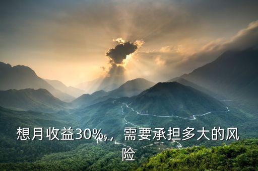 想月收益30%,，需要承擔多大的風險