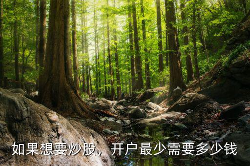 如果想要炒股，開戶最少需要多少錢
