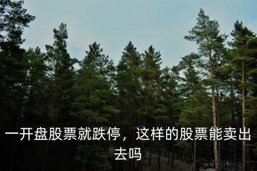 一開盤股票就跌停，這樣的股票能賣出去嗎
