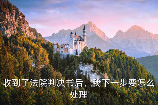 收到了法院判決書后，我下一步要怎么處理