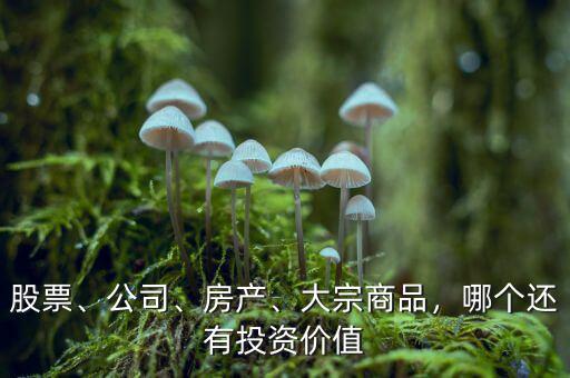 股票、公司、房產(chǎn)、大宗商品，哪個(gè)還有投資價(jià)值
