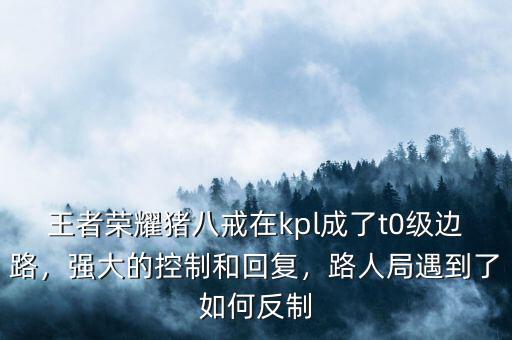 王者榮耀豬八戒在kpl成了t0級邊路，強大的控制和回復(fù)，路人局遇到了如何反制
