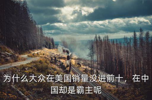 為什么大眾在美國銷量沒進(jìn)前十，在中國卻是霸主呢