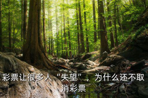 彩票讓很多人“失望”，為什么還不取消彩票