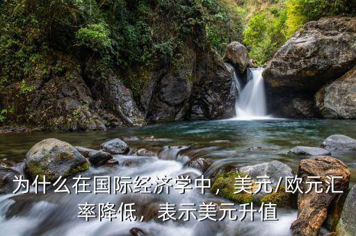 為什么在國際經(jīng)濟(jì)學(xué)中，美元/歐元匯率降低，表示美元升值