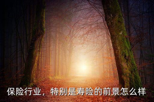 保險(xiǎn)行業(yè)，特別是壽險(xiǎn)的前景怎么樣