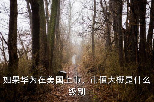 如果華為在美國上市，市值大概是什么級別