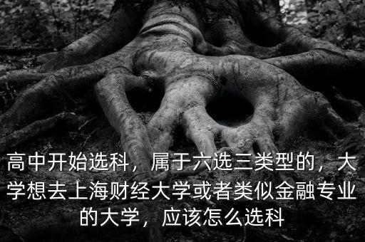 高中開始選科，屬于六選三類型的，大學(xué)想去上海財(cái)經(jīng)大學(xué)或者類似金融專業(yè)的大學(xué)，應(yīng)該怎么選科