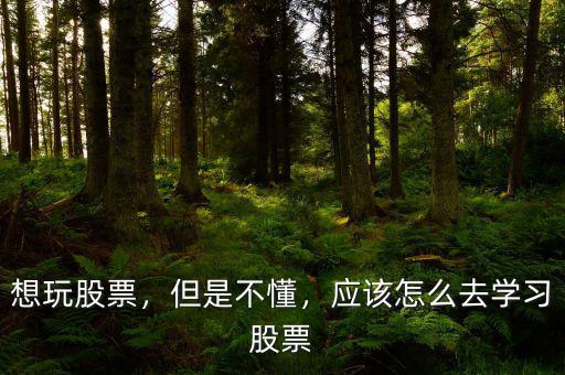 想玩股票，但是不懂，應該怎么去學習股票