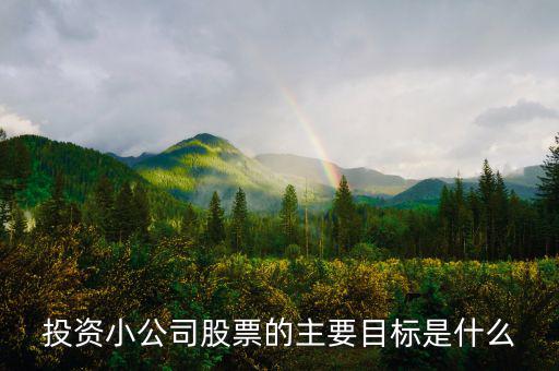 投資小公司股票的主要目標是什么