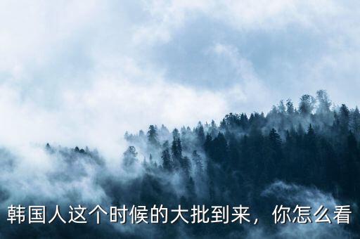 韓國(guó)人這個(gè)時(shí)候的大批到來(lái)，你怎么看