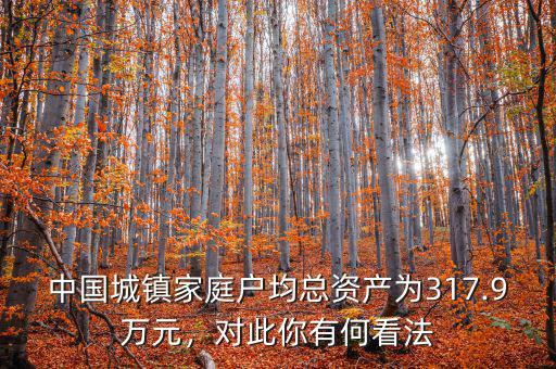 中國城鎮(zhèn)家庭戶均總資產(chǎn)為317.9萬元，對此你有何看法