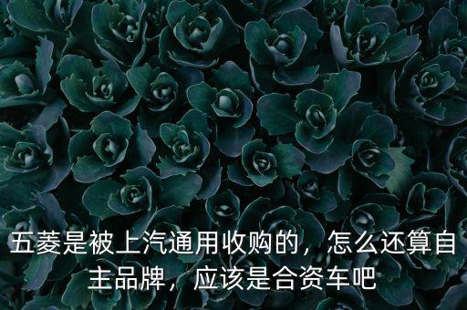 五菱是被上汽通用收購的，怎么還算自主品牌，應(yīng)該是合資車吧