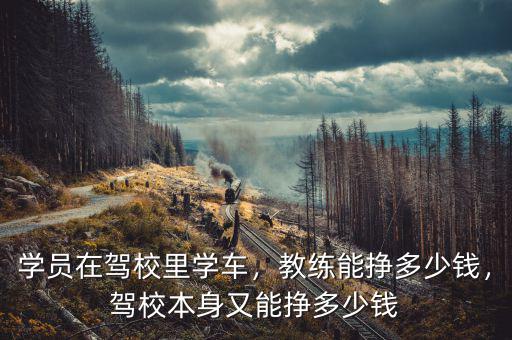 學(xué)員在駕校里學(xué)車，教練能掙多少錢，駕校本身又能掙多少錢