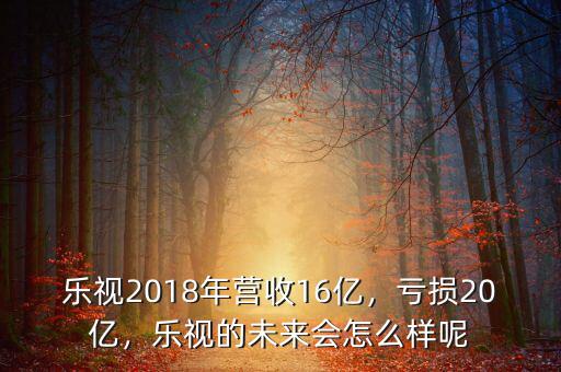 樂視2018年營收16億，虧損20億，樂視的未來會怎么樣呢