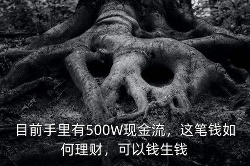 目前手里有500W現(xiàn)金流，這筆錢如何理財(cái)，可以錢生錢