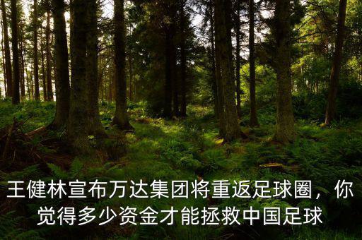 王健林宣布萬達(dá)集團(tuán)將重返足球圈，你覺得多少資金才能拯救中國足球