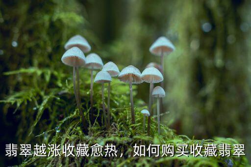 翡翠越漲收藏愈熱，如何購買收藏翡翠