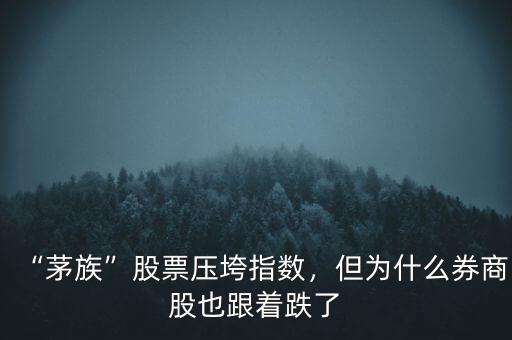 “茅族”股票壓垮指數(shù)，但為什么券商股也跟著跌了