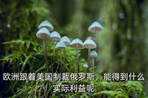 歐洲跟著美國(guó)制裁俄羅斯，能得到什么實(shí)際利益呢