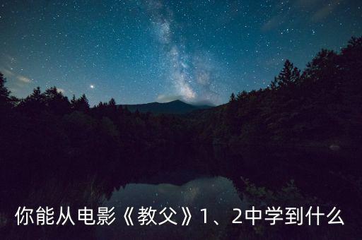 你能從電影《教父》1、2中學(xué)到什么