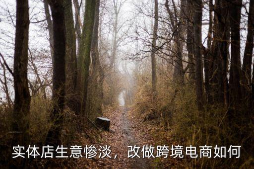 實體店生意慘淡，改做跨境電商如何