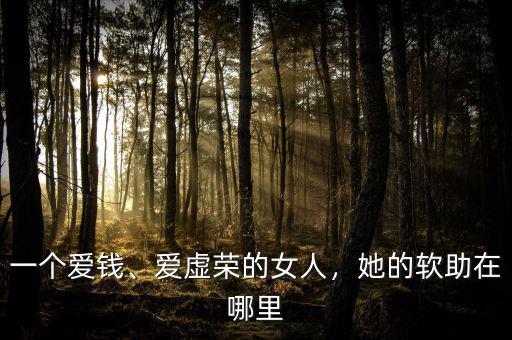 一個(gè)愛錢、愛虛榮的女人，她的軟助在哪里