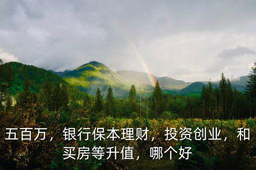 五百萬(wàn)，銀行保本理財(cái)，投資創(chuàng)業(yè)，和買房等升值，哪個(gè)好