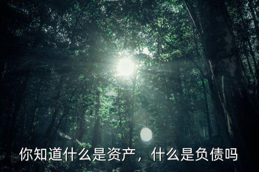 你知道什么是資產(chǎn)，什么是負(fù)債嗎