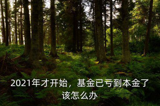 2021年才開始，基金已虧到本金了該怎么辦
