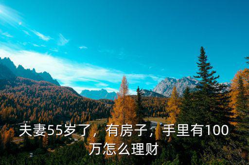 夫妻55歲了，有房子，手里有100萬怎么理財