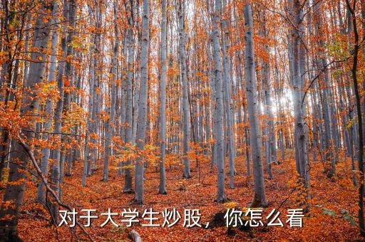 對于大學(xué)生炒股，你怎么看