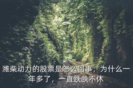 濰柴動(dòng)力的股票是怎么回事，為什么一年多了，一直跌跌不休