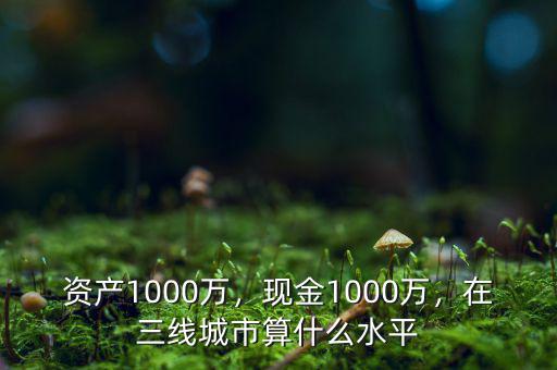 資產(chǎn)1000萬(wàn)，現(xiàn)金1000萬(wàn)，在三線(xiàn)城市算什么水平