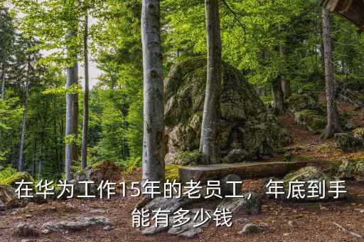 在華為工作15年的老員工，年底到手能有多少錢