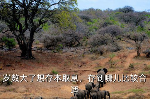 歲數(shù)大了想存本取息，存到哪兒比較合適