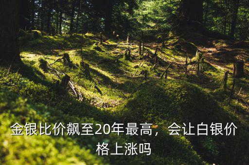金銀比價飆至20年最高，會讓白銀價格上漲嗎