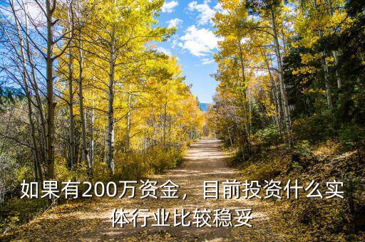 如果有200萬資金，目前投資什么實體行業(yè)比較穩(wěn)妥
