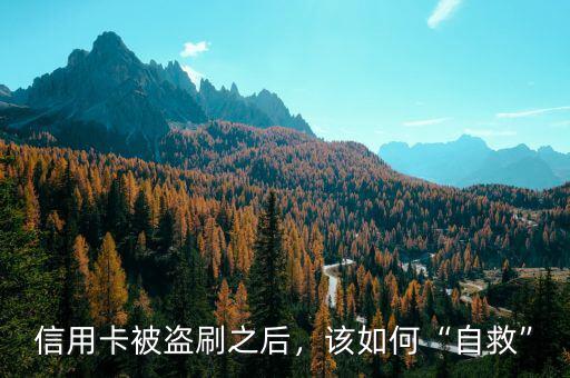 信用卡被盜刷之后，該如何“自救”